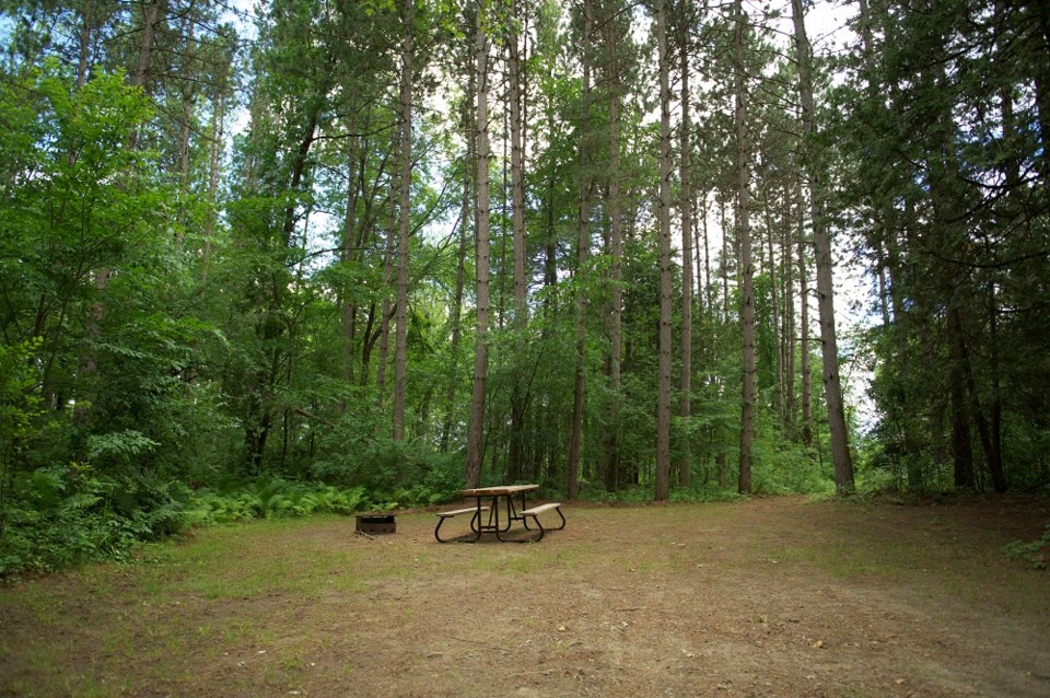 This provincial park in Ontario is home to 100-year-old White Pine trees