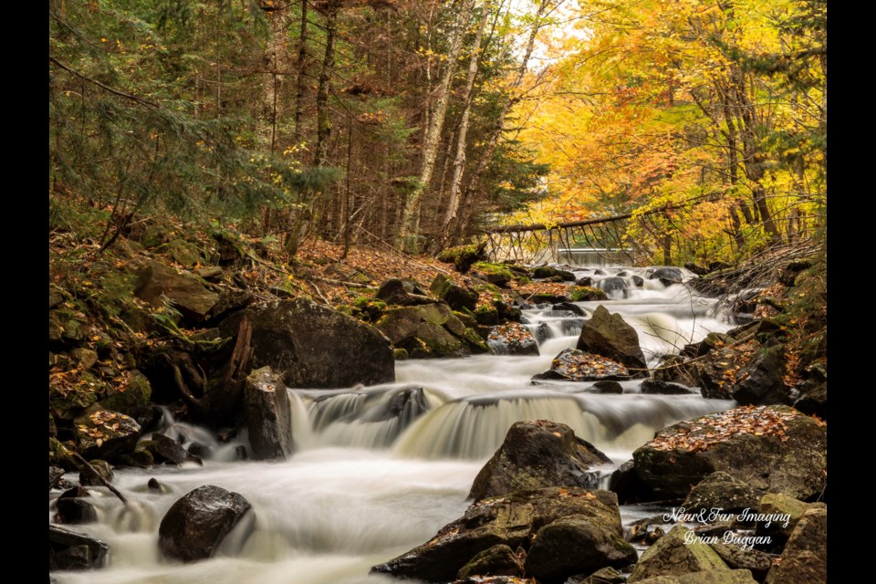 Track and Tower Trail in Algonquin Park: Brian Duggan