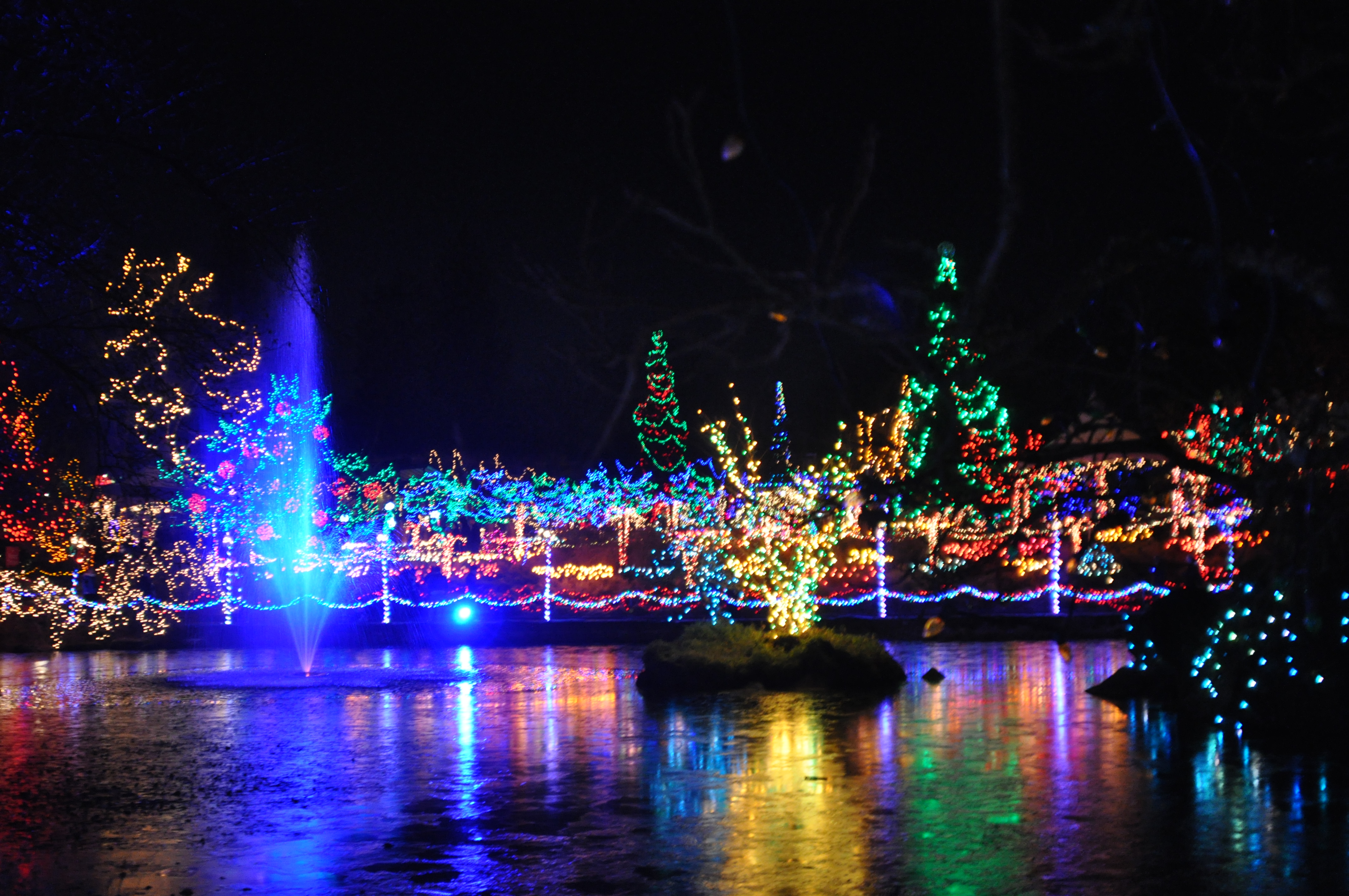 The Playground: Festival of Lights at Van Dusen Garden - Vancouver Is ...